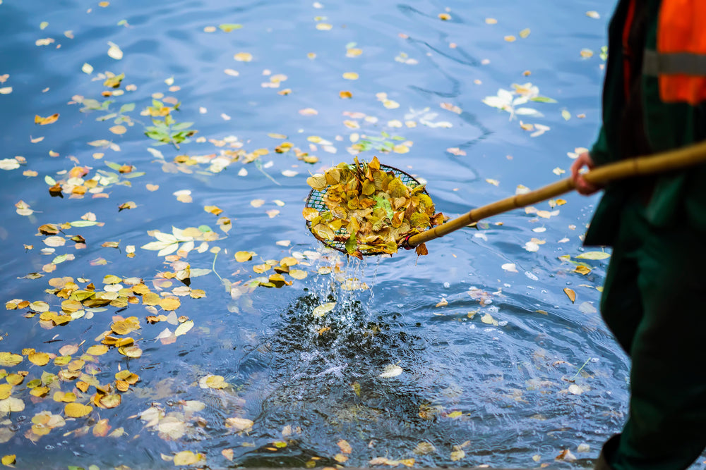 Pond rake online for sale