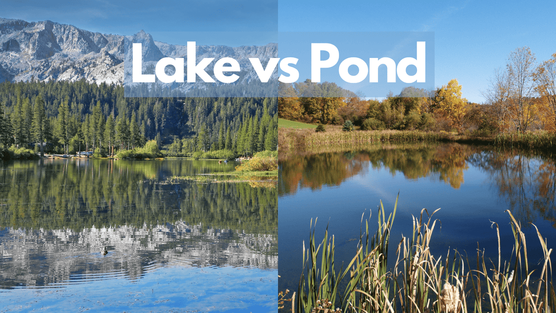 Lake vs pond